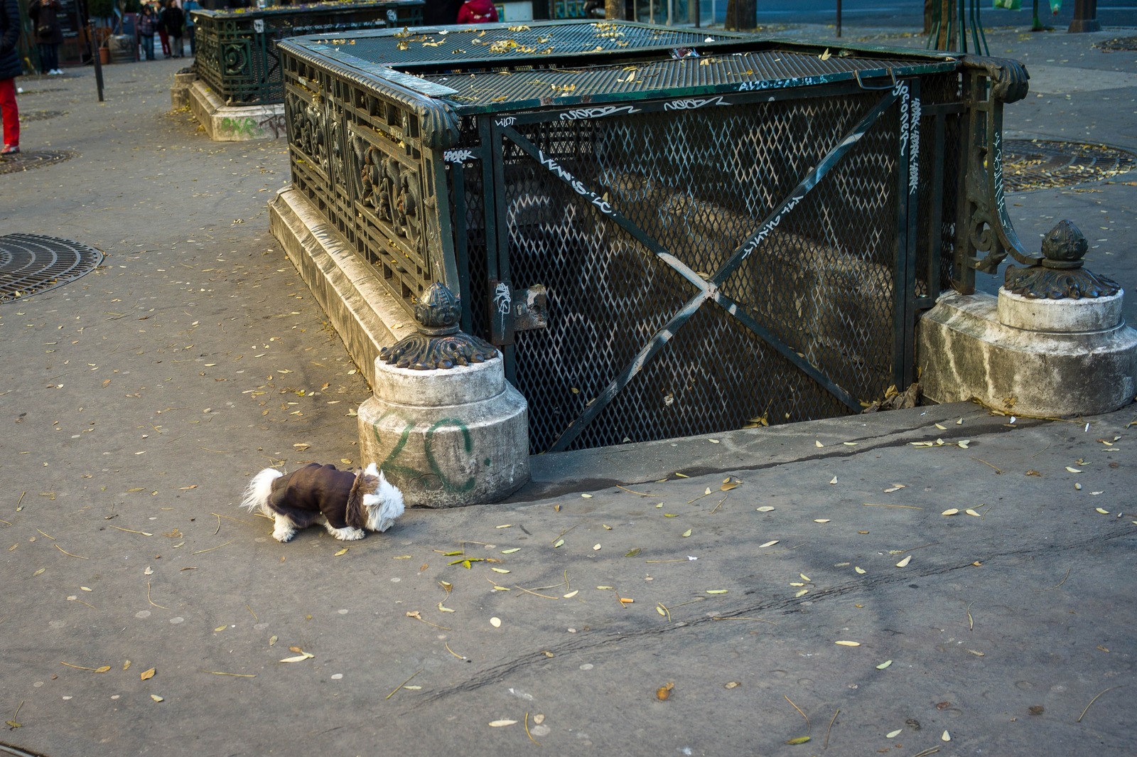 A Quiet Urban Stroll