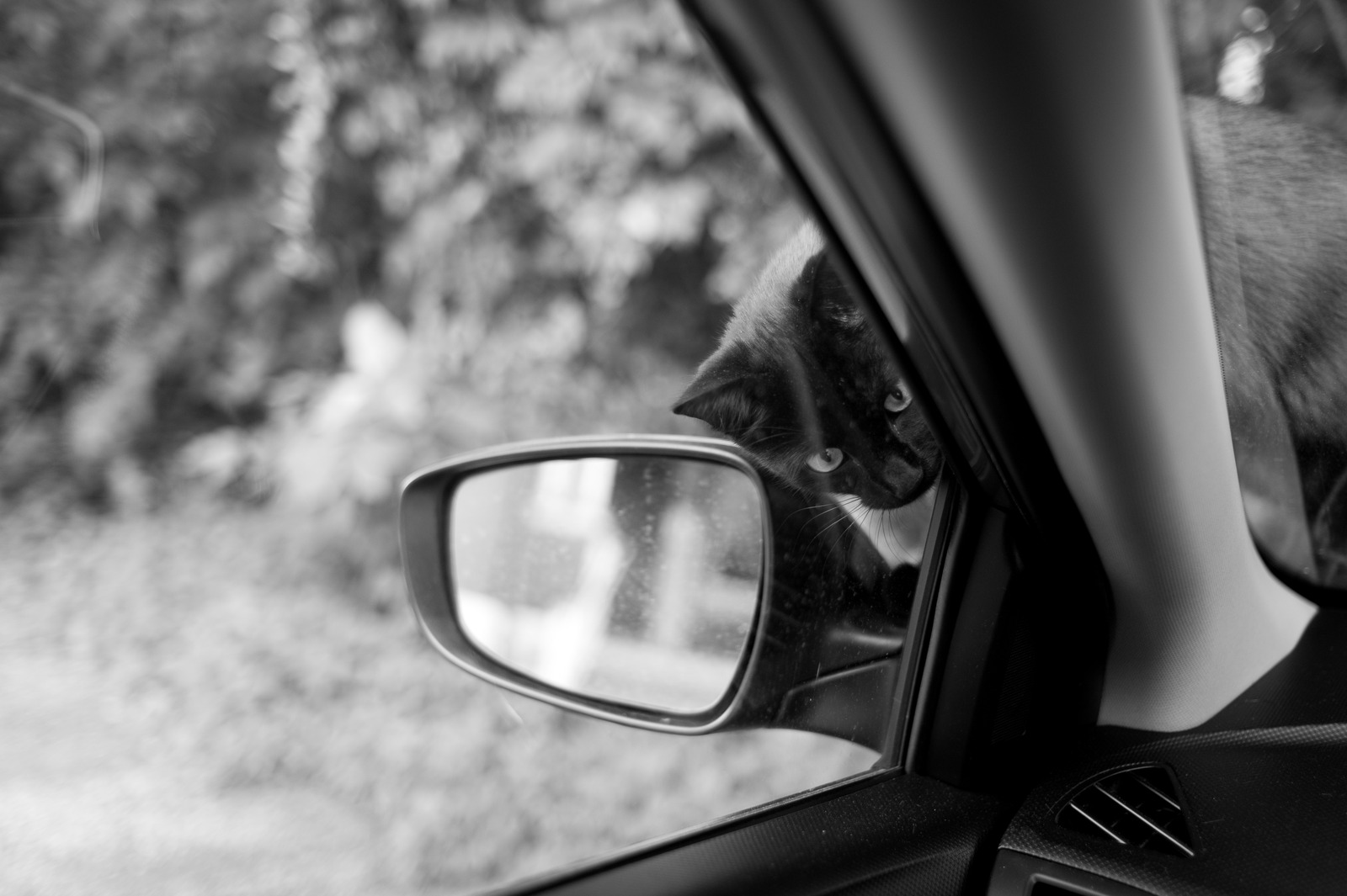 Curious Encounter