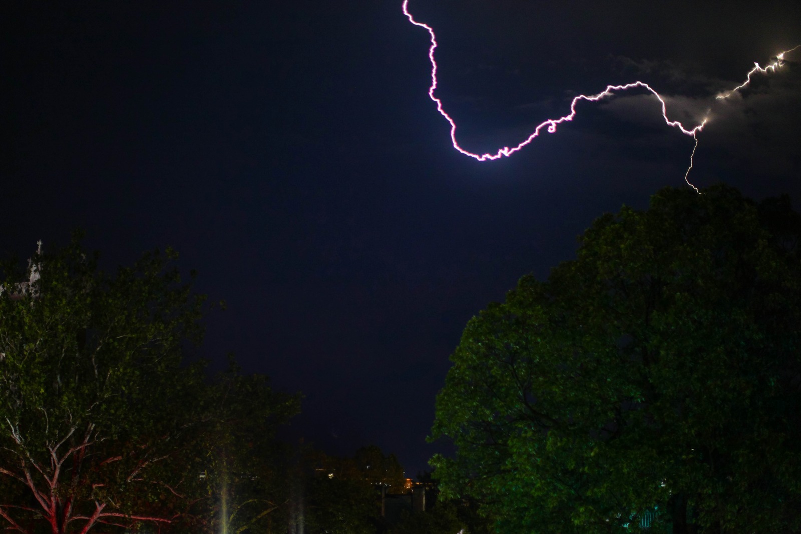 Electric Night Sky