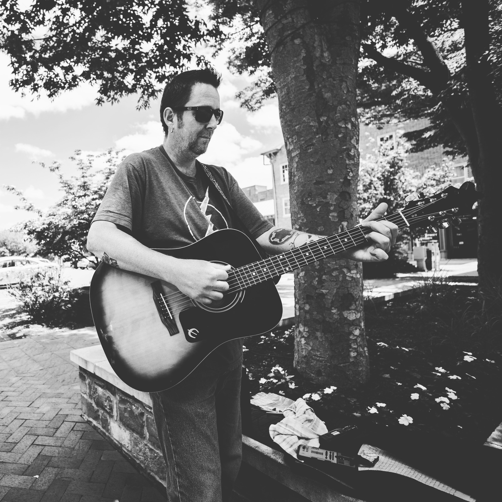 Melody in the Shade