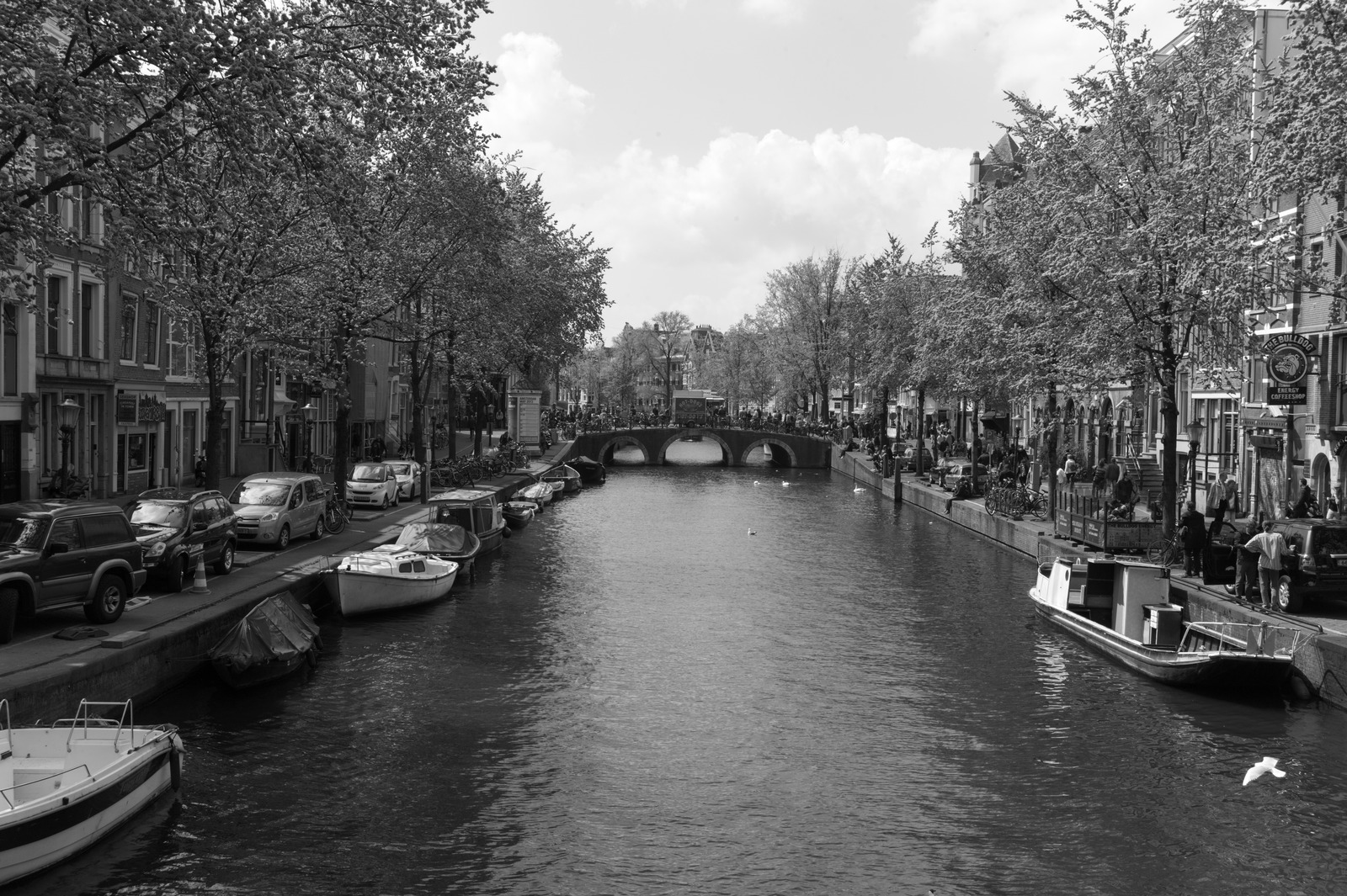 Serene Canal View