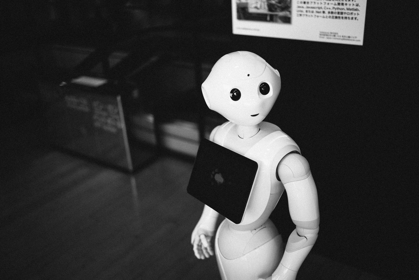 The Curious Robot