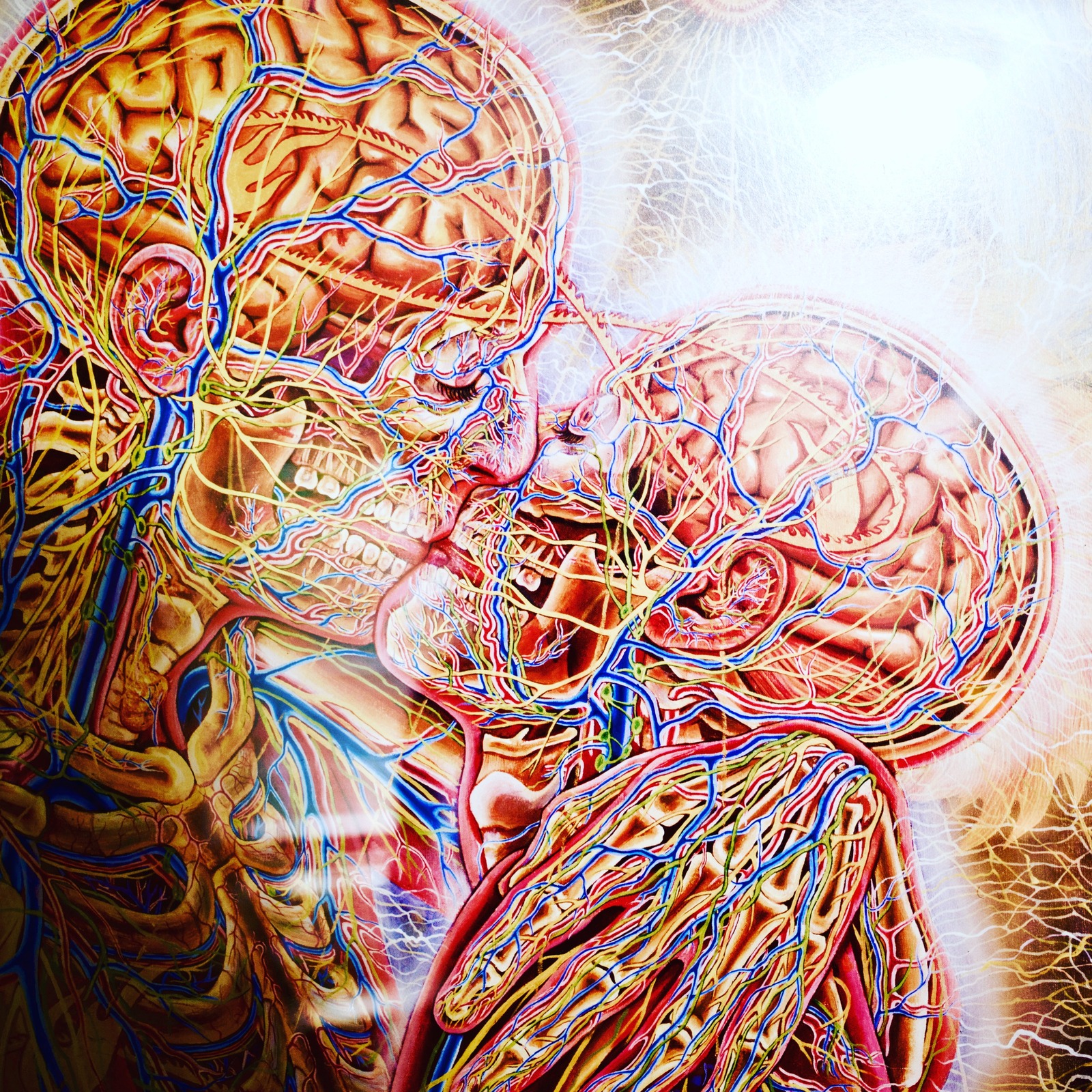 Veins of Connection