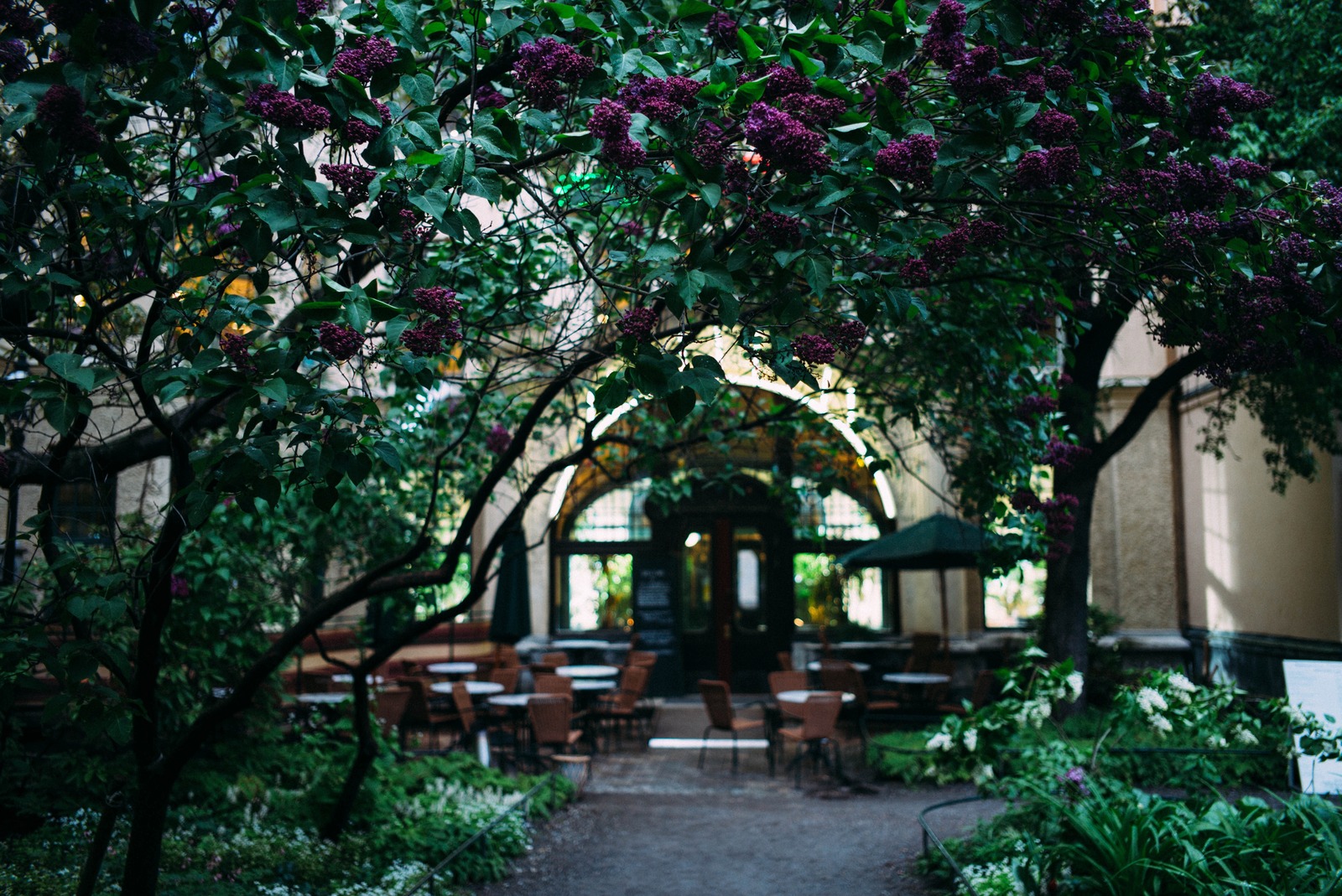 Hidden Garden Oasis
