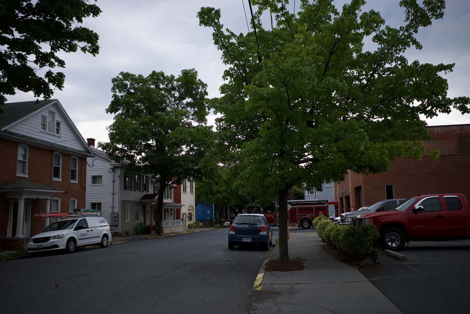 Quiet Urban Avenue