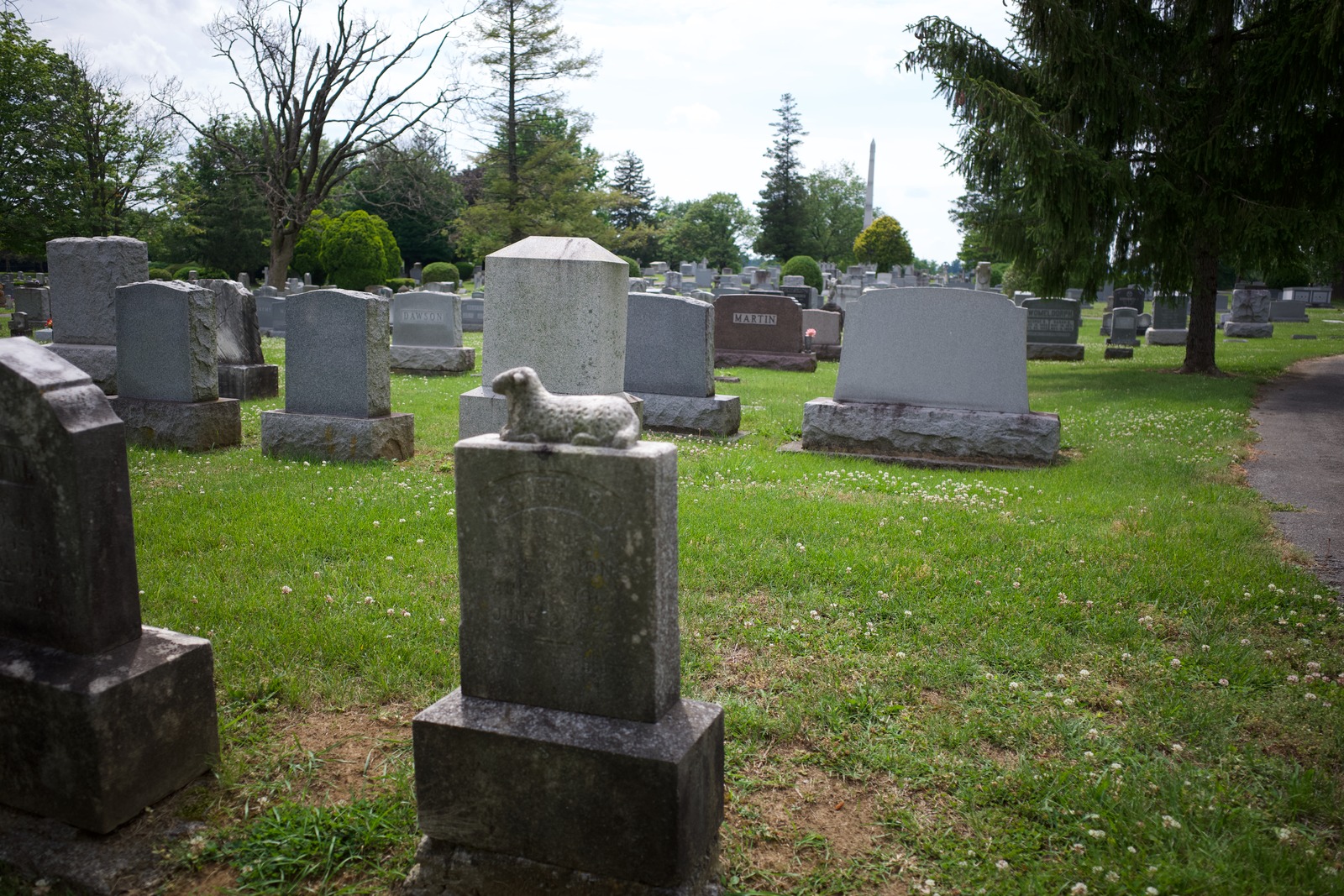 Quiet Remembrance