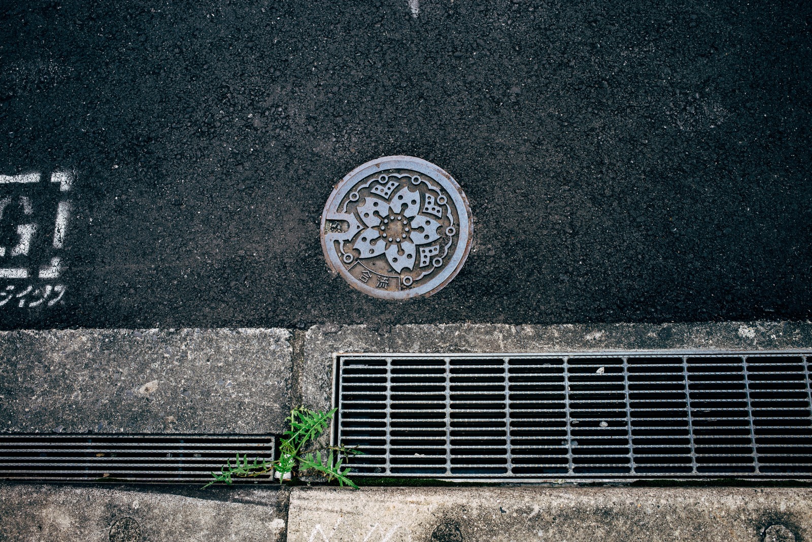 Urban Flora