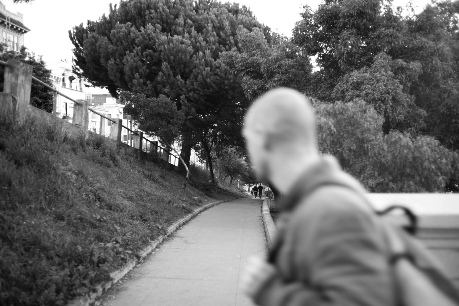 A Blur of Journey