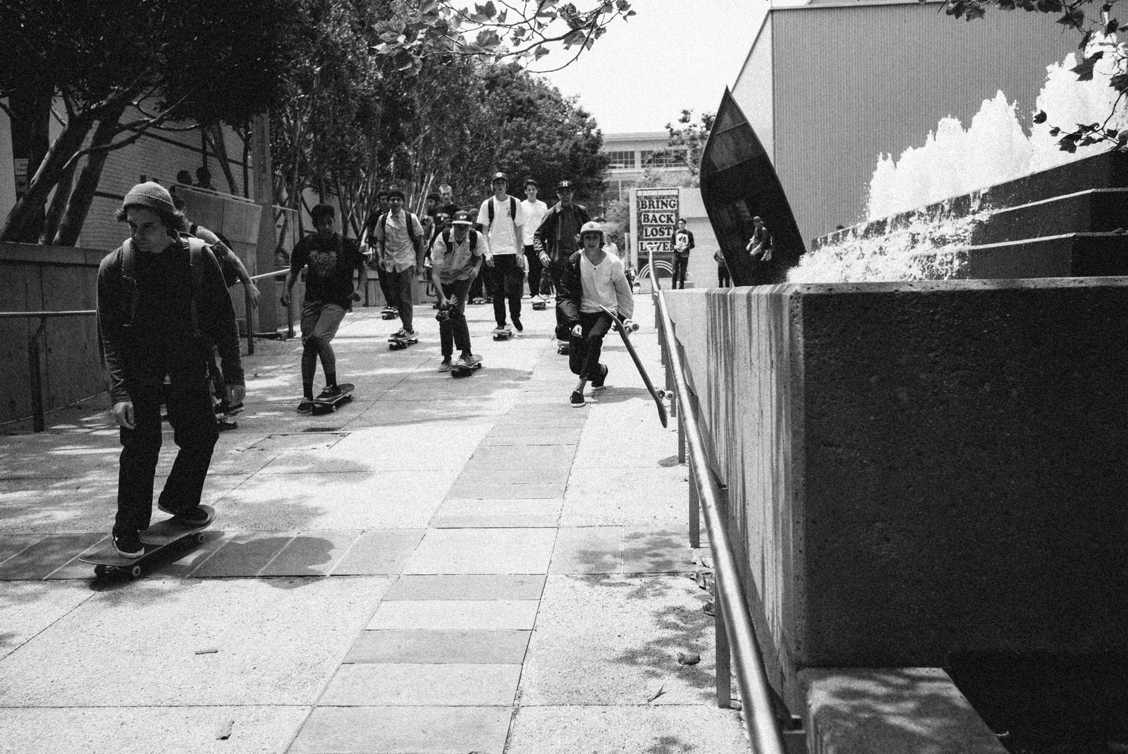 Skaters in Motion