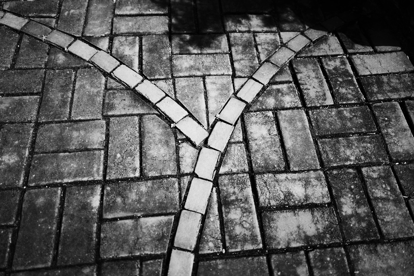 Path of Choices