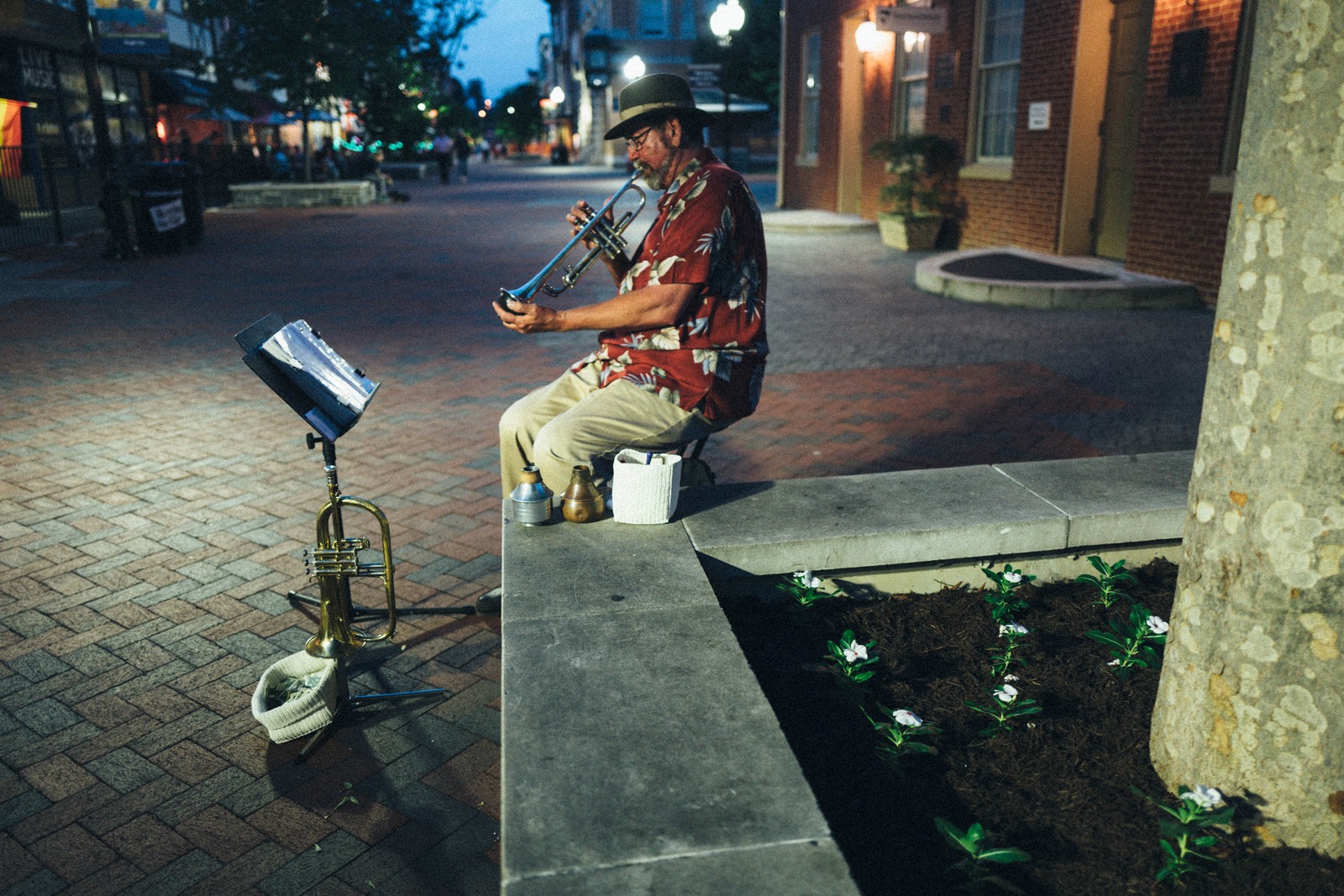 Evening Serenade