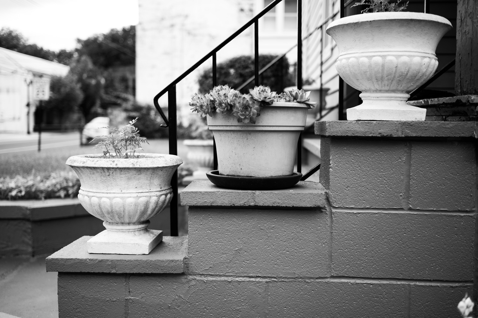 Steps of Serenity