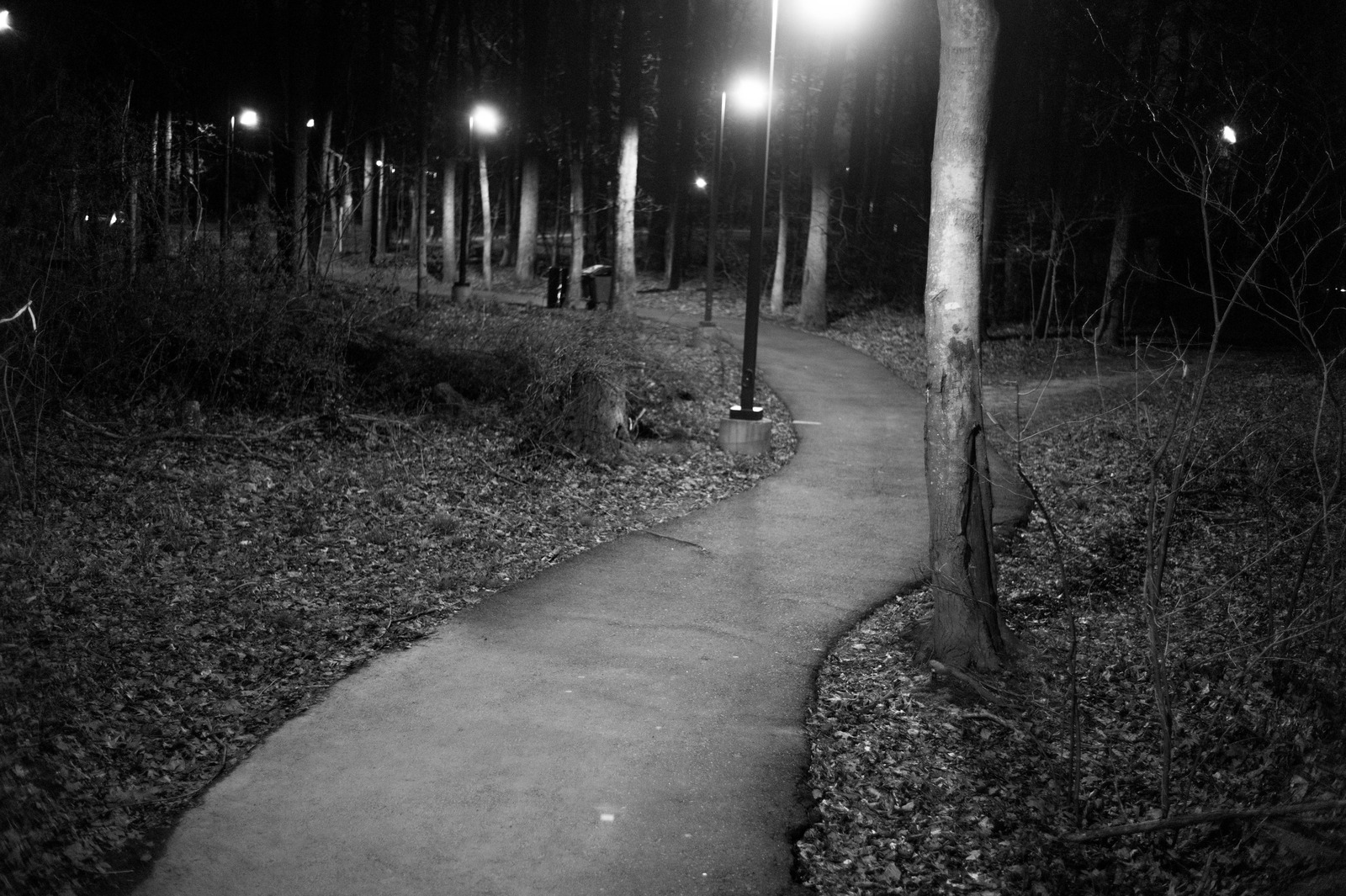 Twilight Pathway