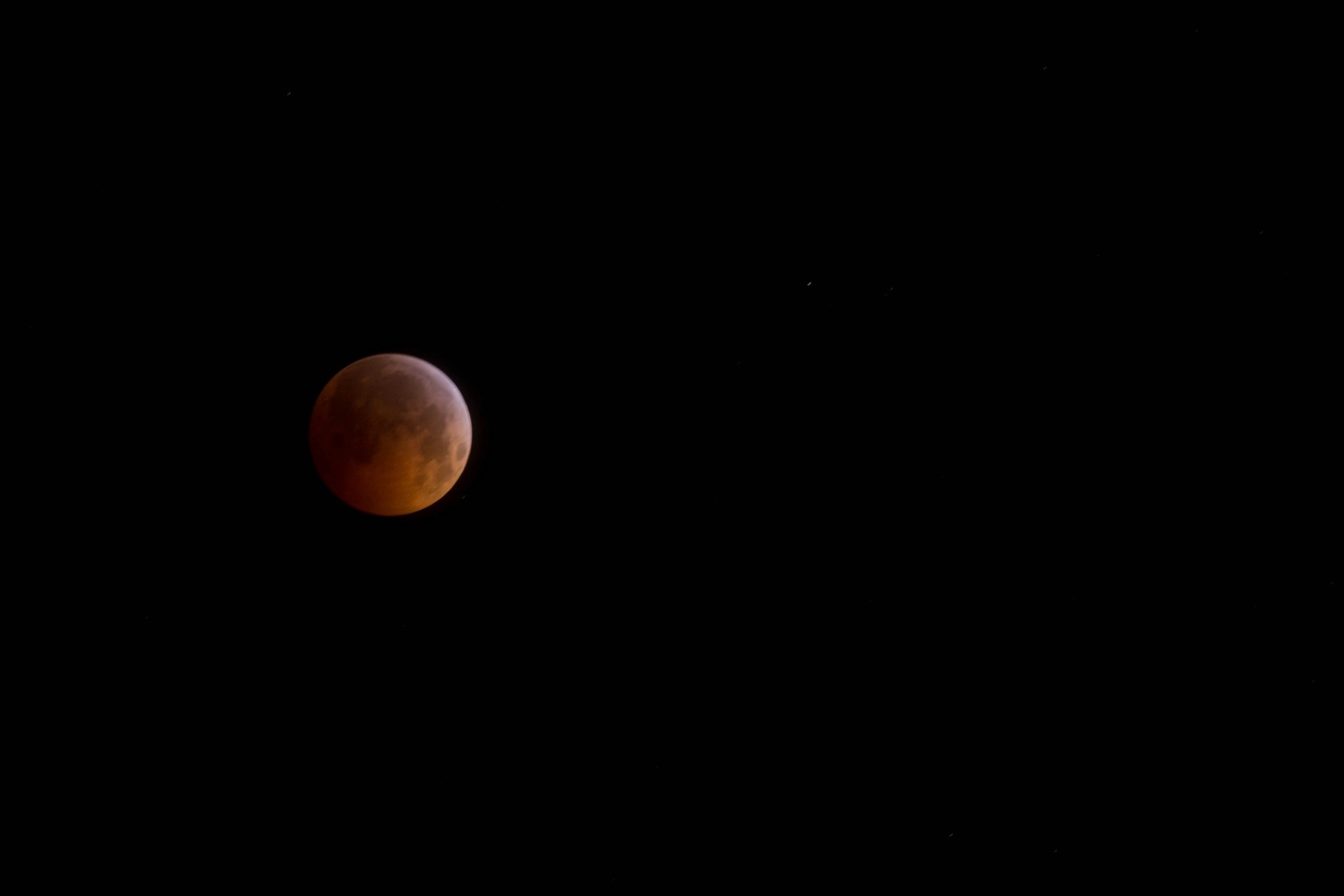 Lunar Elegance