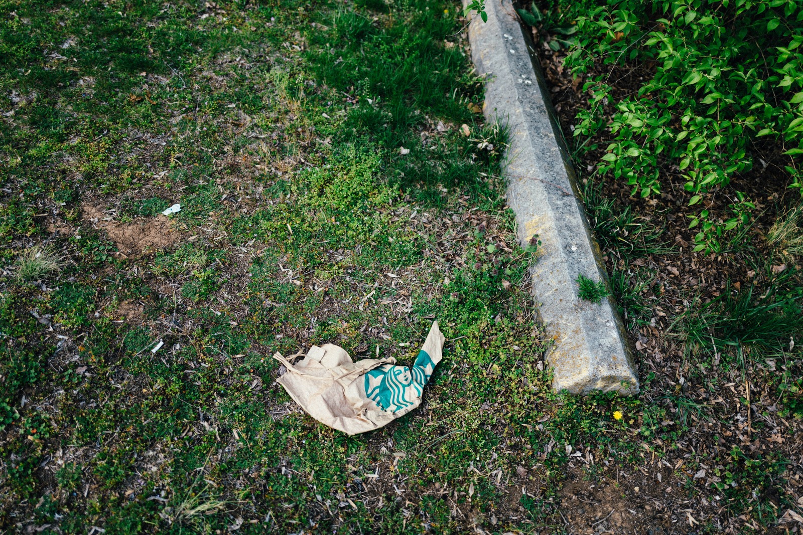 Forgotten Remnants