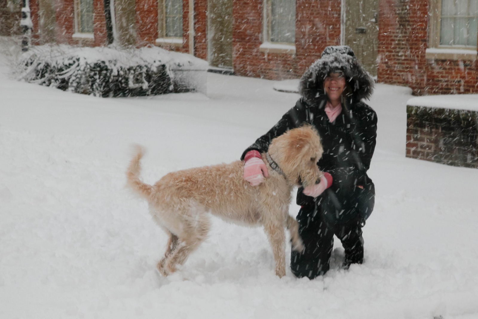 Winter Joy