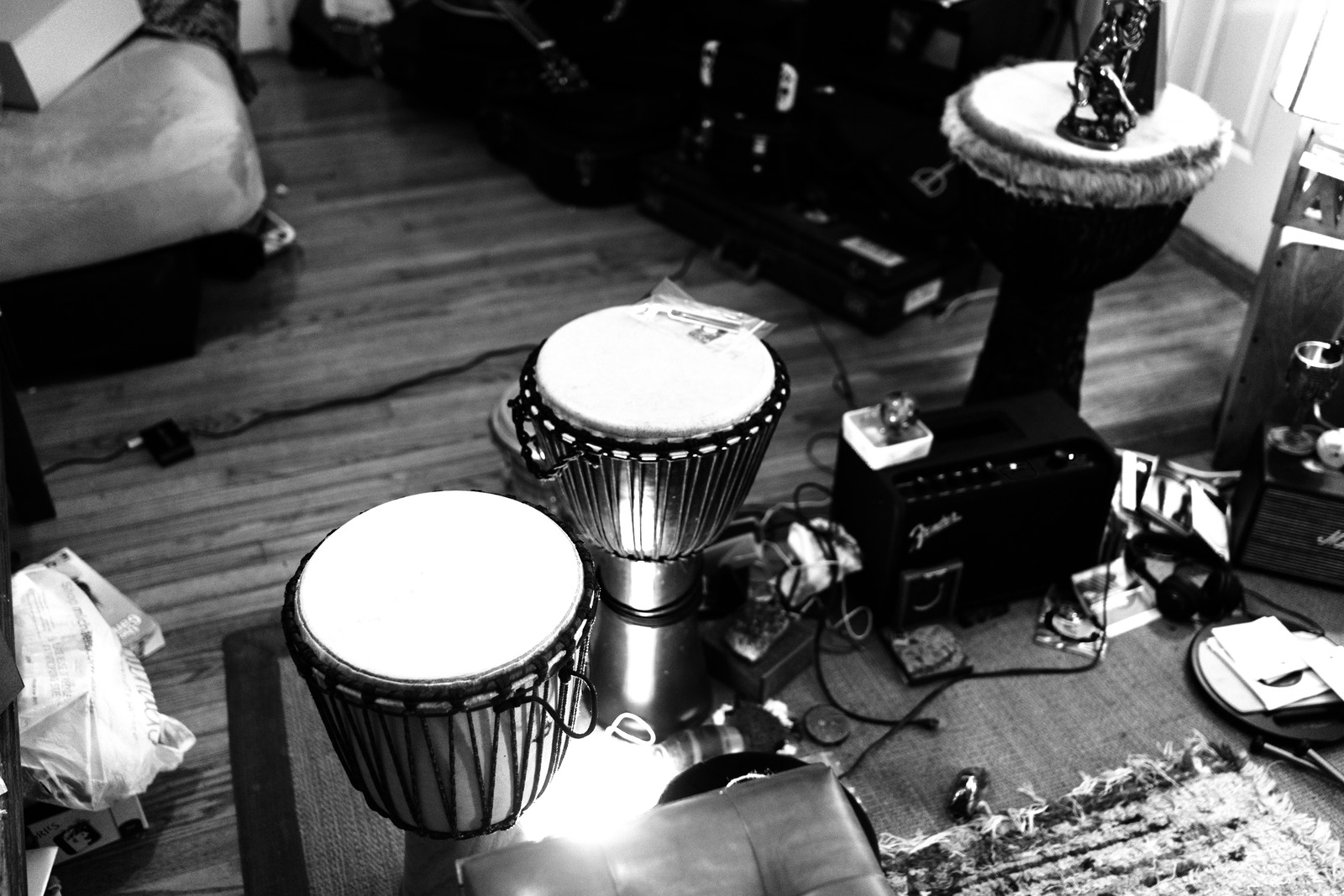 Echoes of Rhythm
