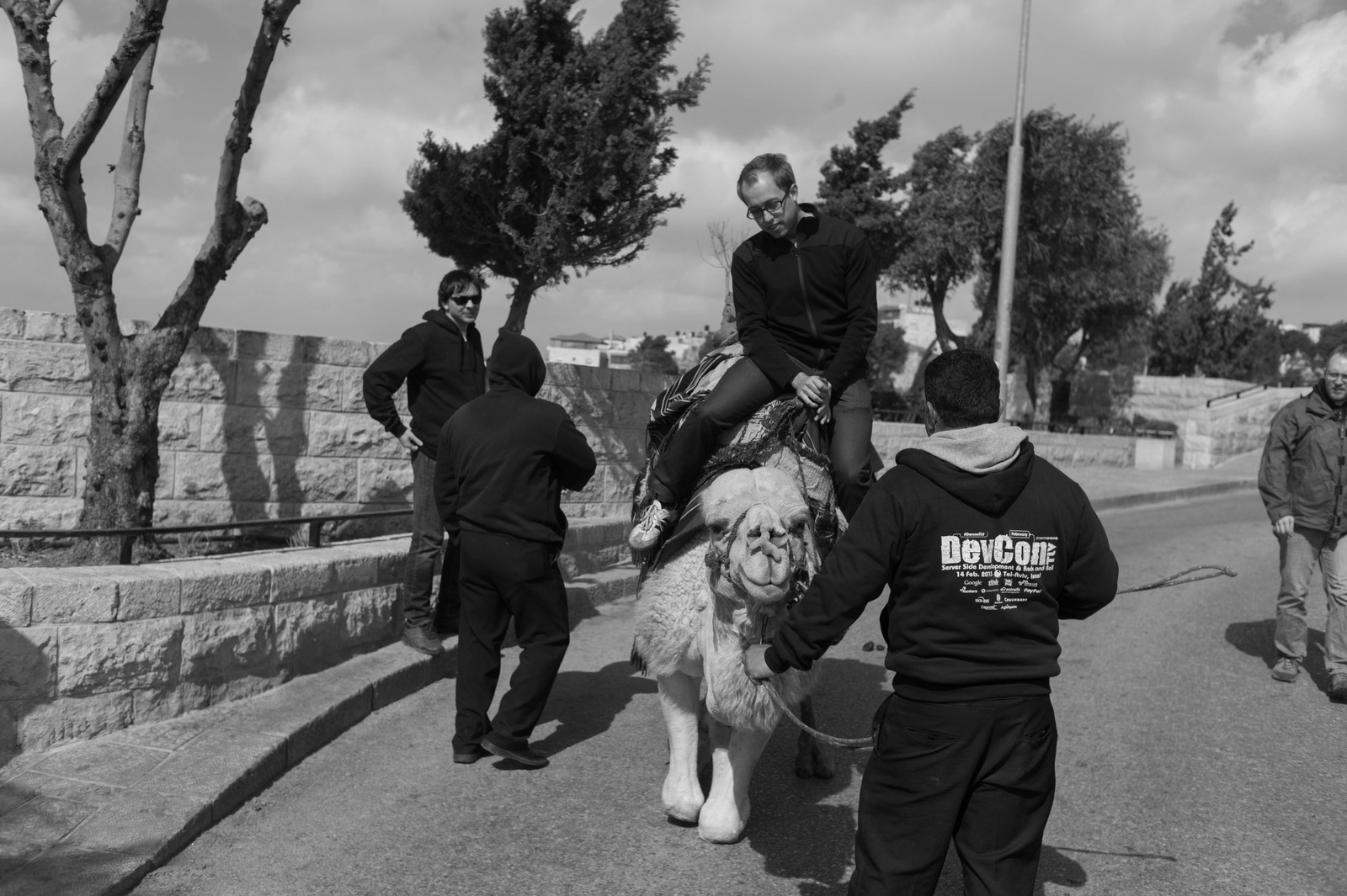 Urban Camel Ride