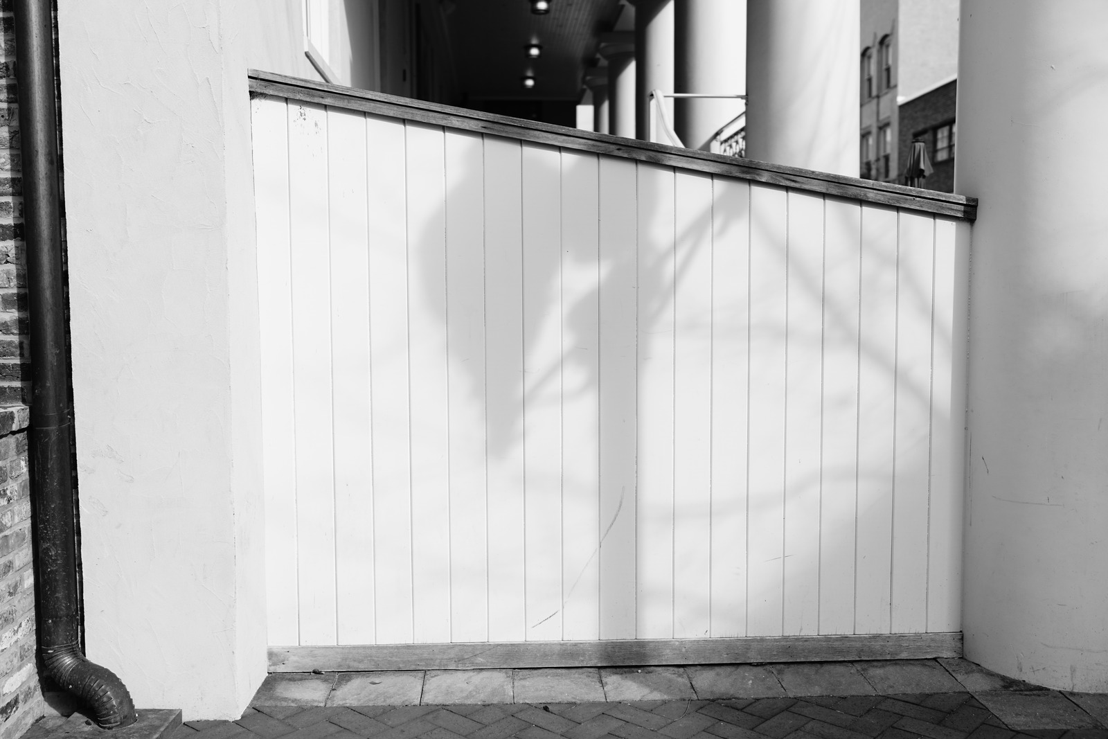 Whispers of Shadow