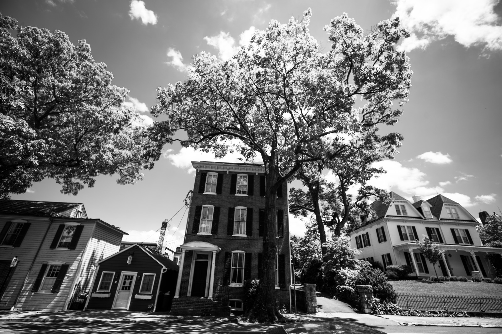 Quiet Urban Charm