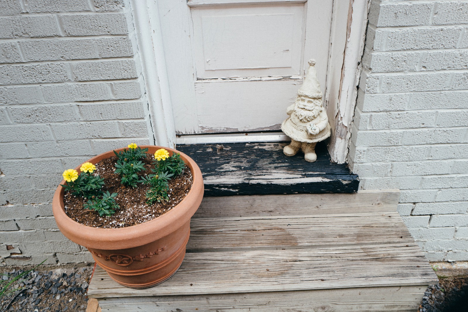 Charming Welcome