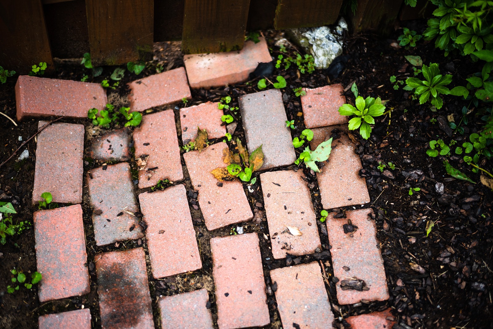 Nature's Resilience