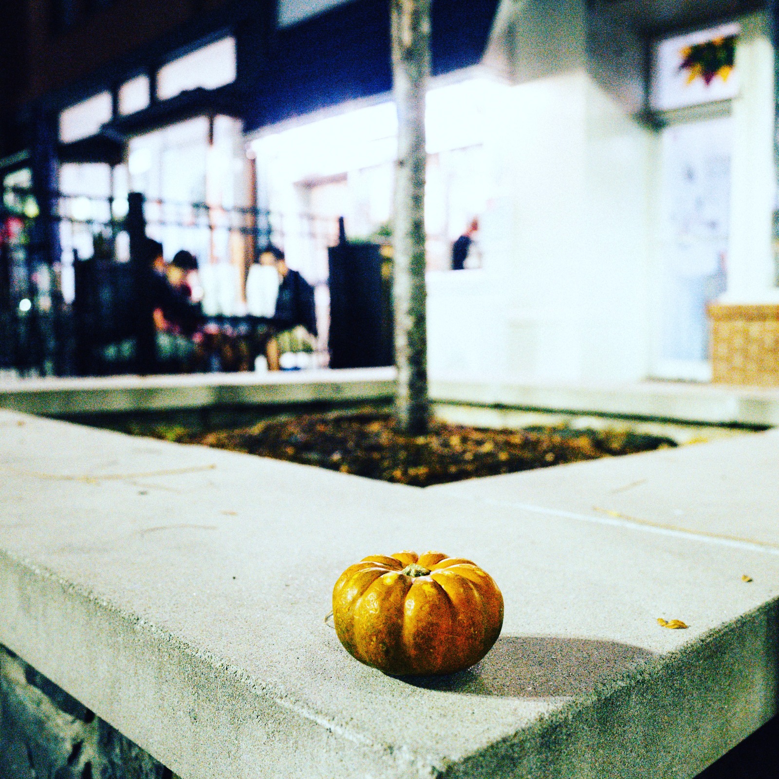 Autumn's Last Stand