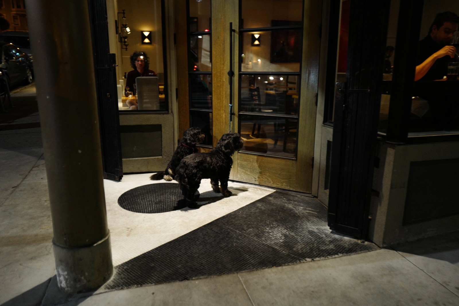 Paws Awaiting Entry