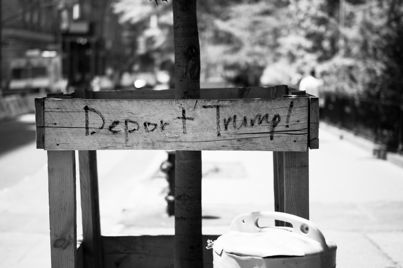Voices of Dissent