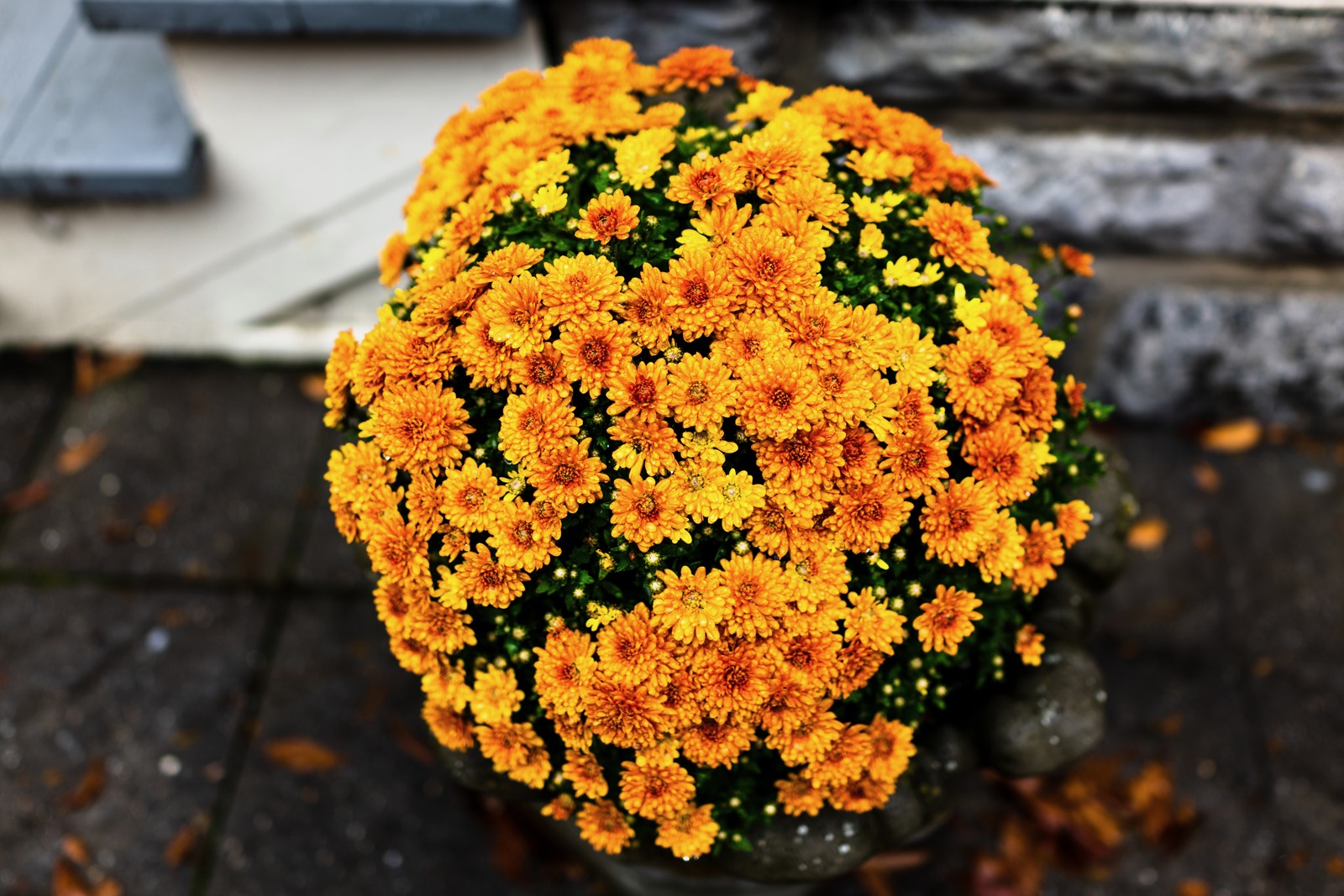 Golden Bloom Sphere