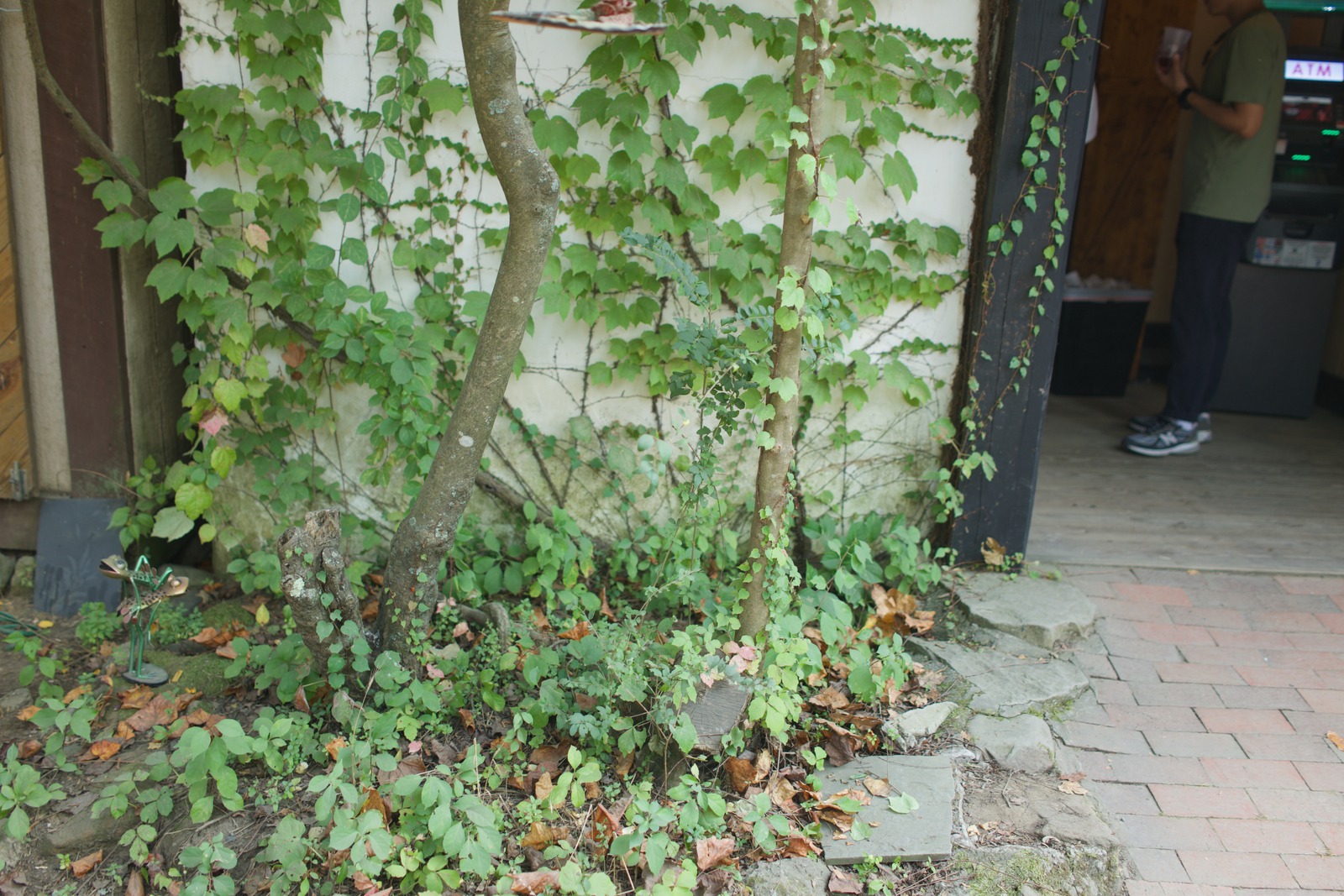 Urban Greenery