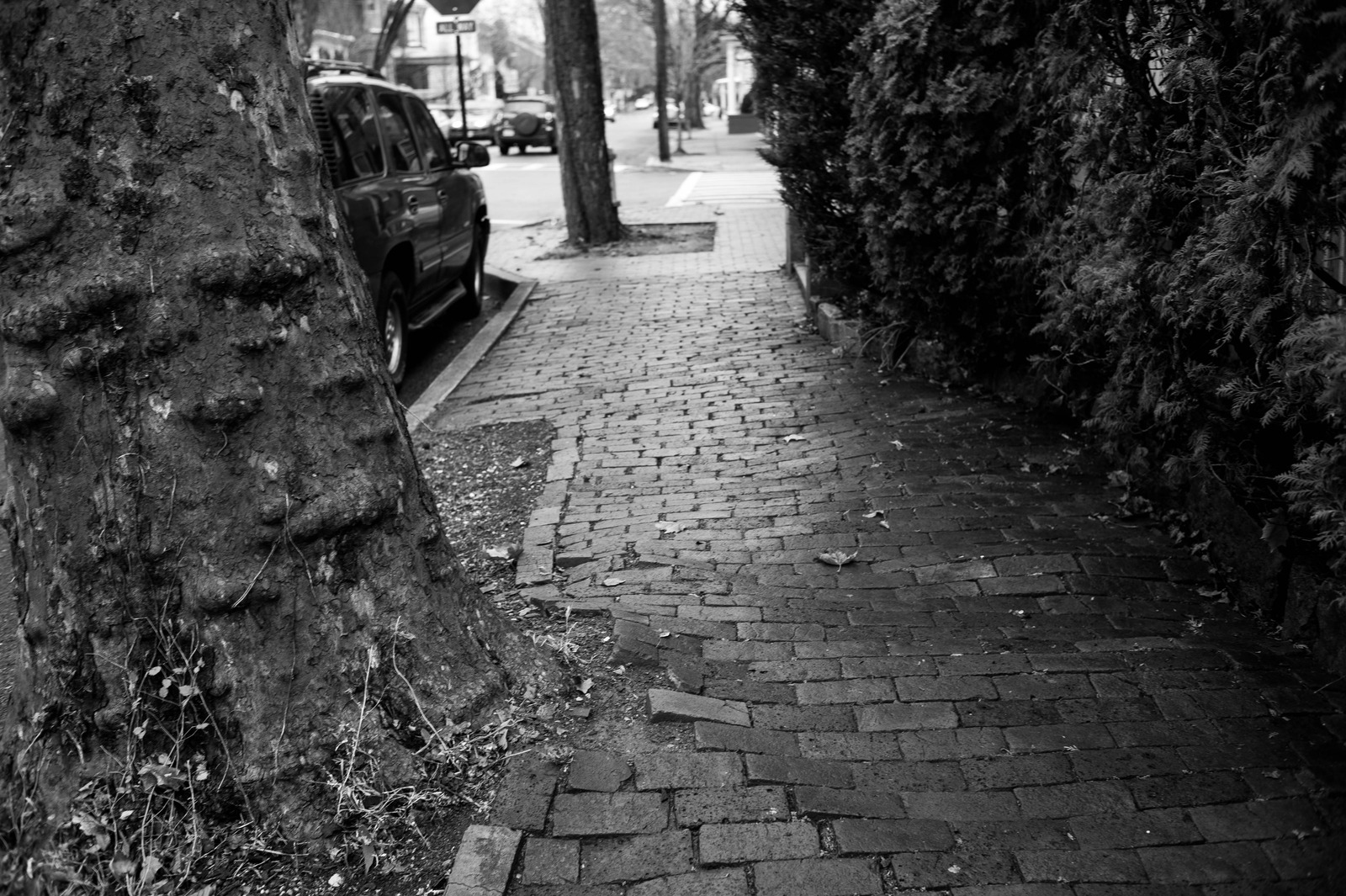 Urban Solitude
