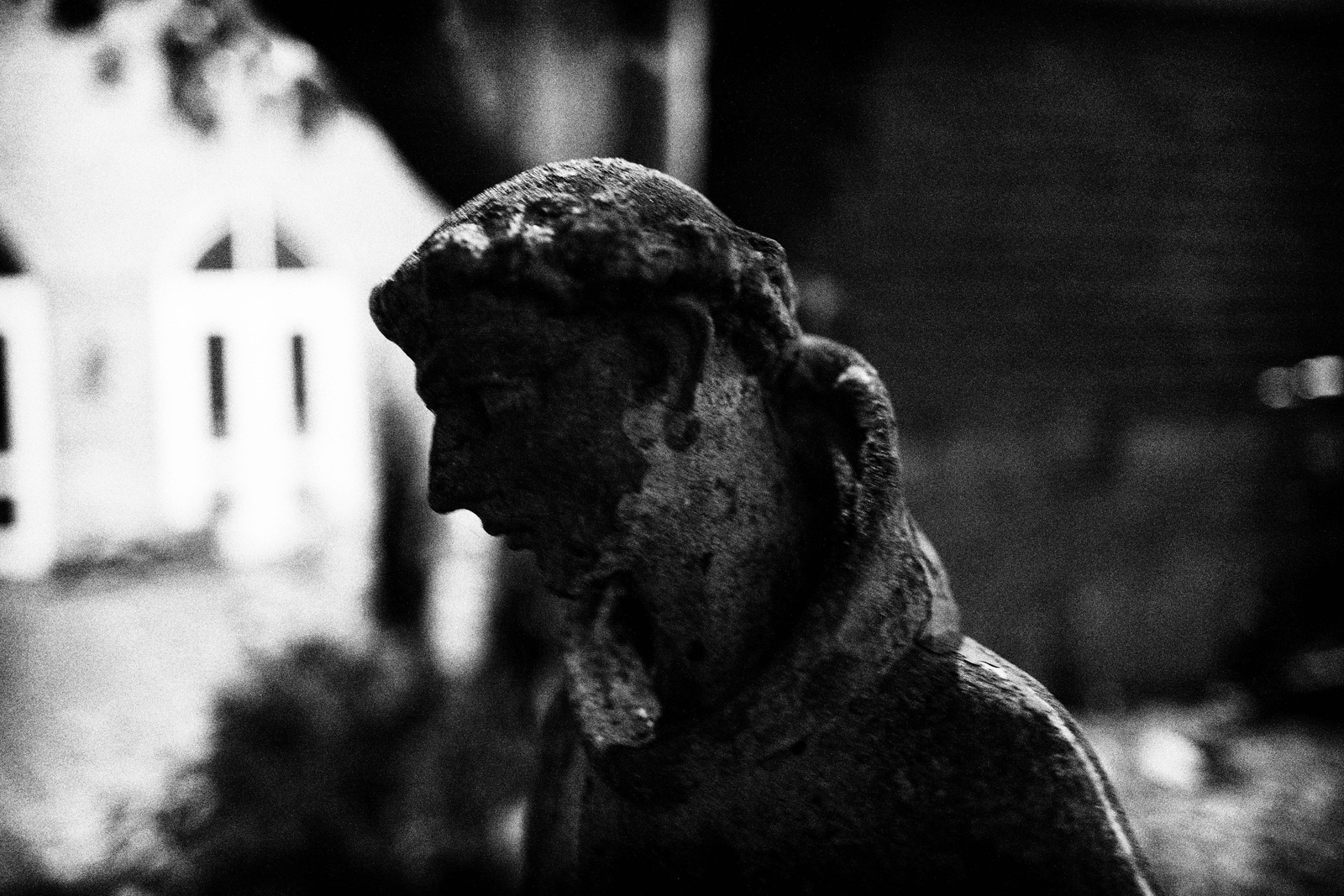 Whispers of Time