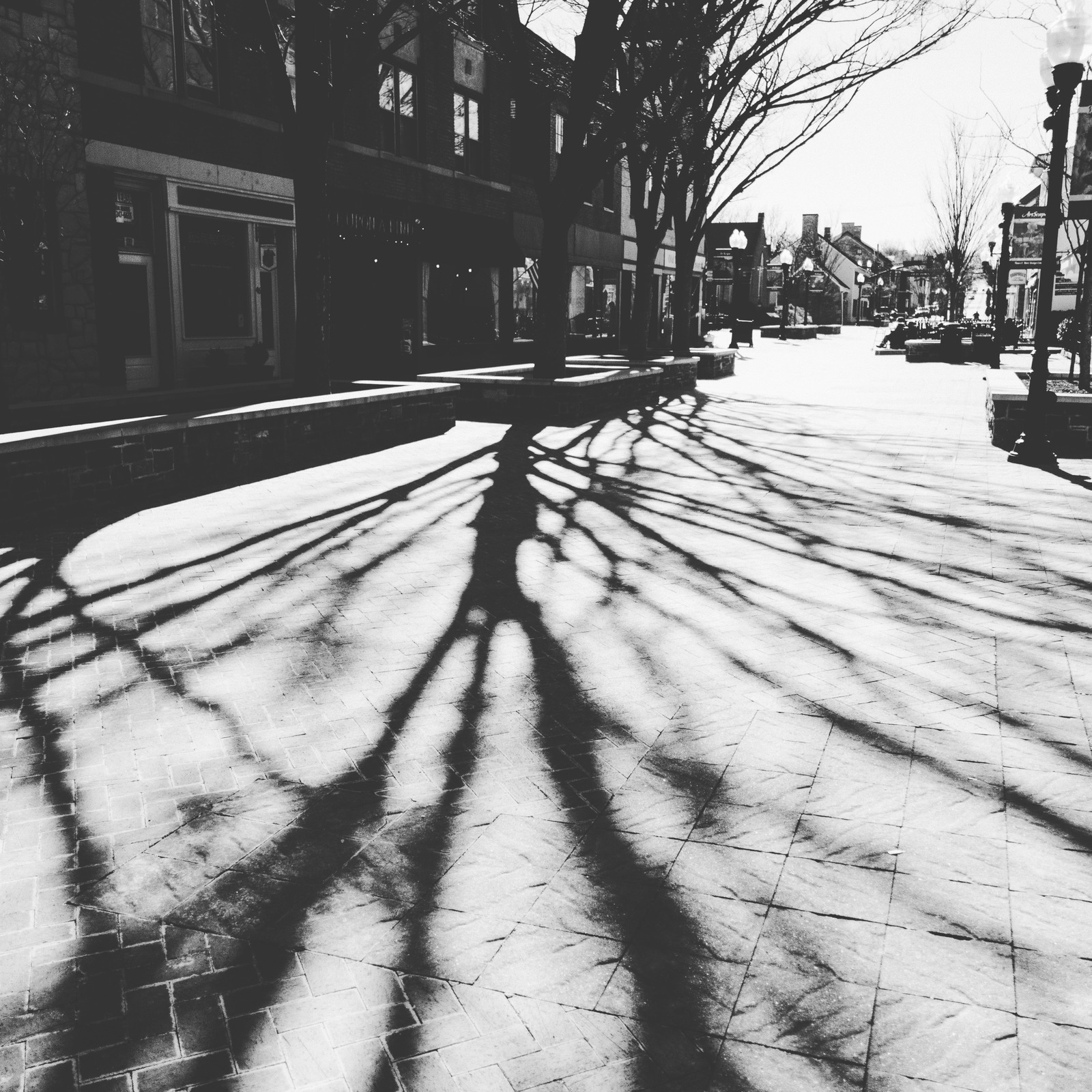 Shadows of Solitude