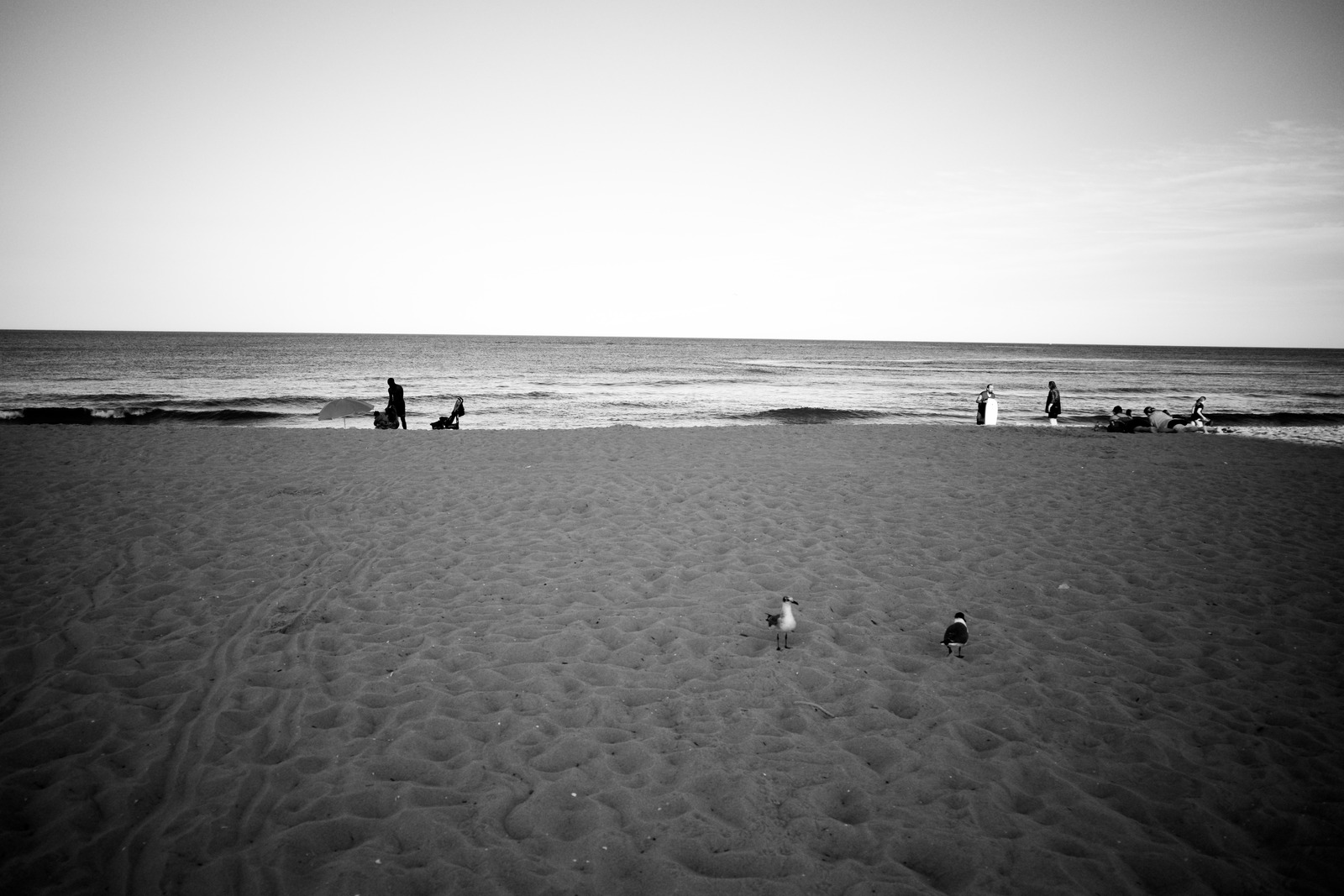 Quiet Beach Moments