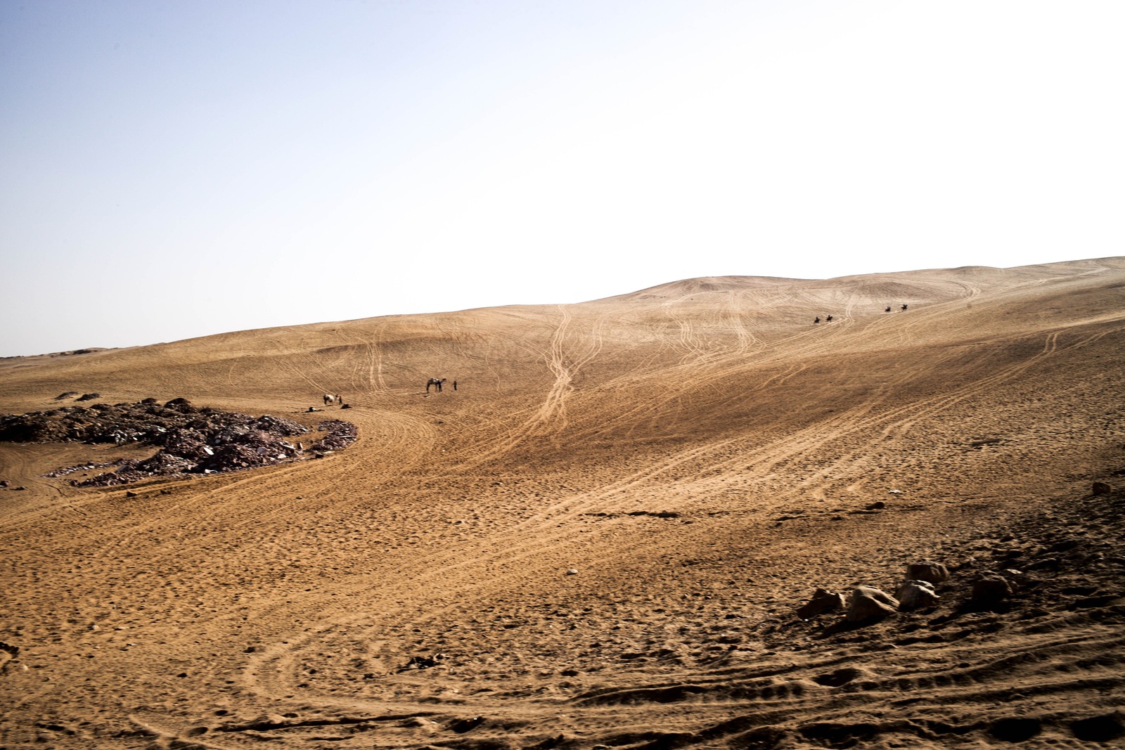 Desolate Serenity