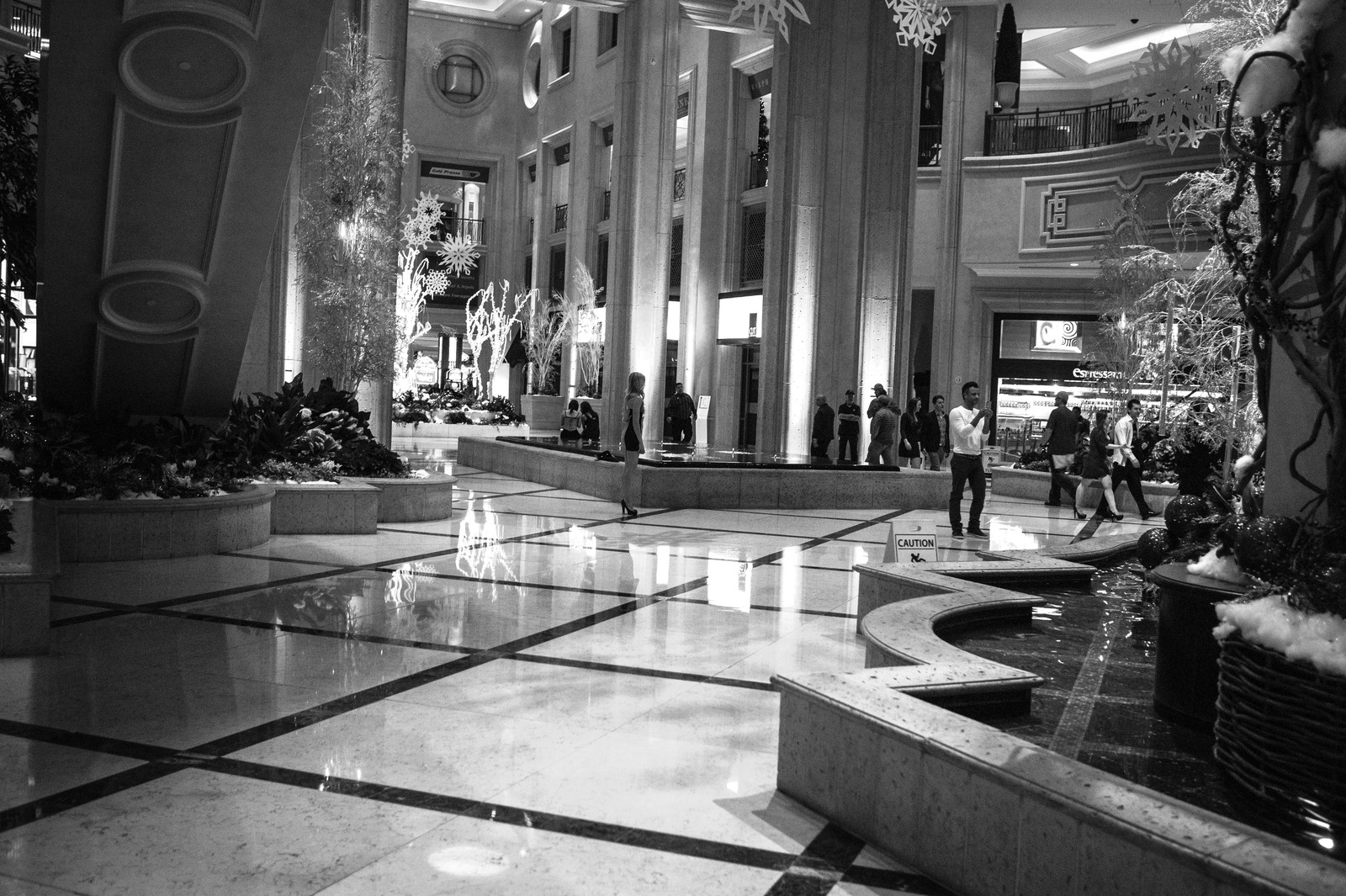 Monochrome Elegance
