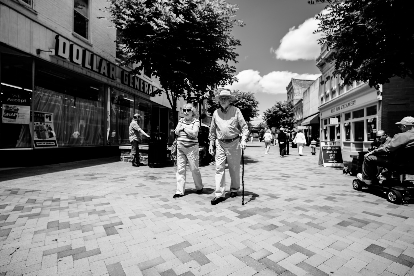 Stroll Through Time