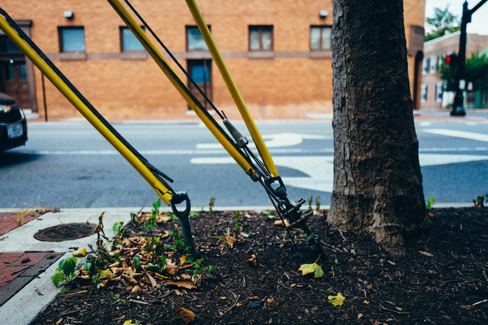 Urban Resilience