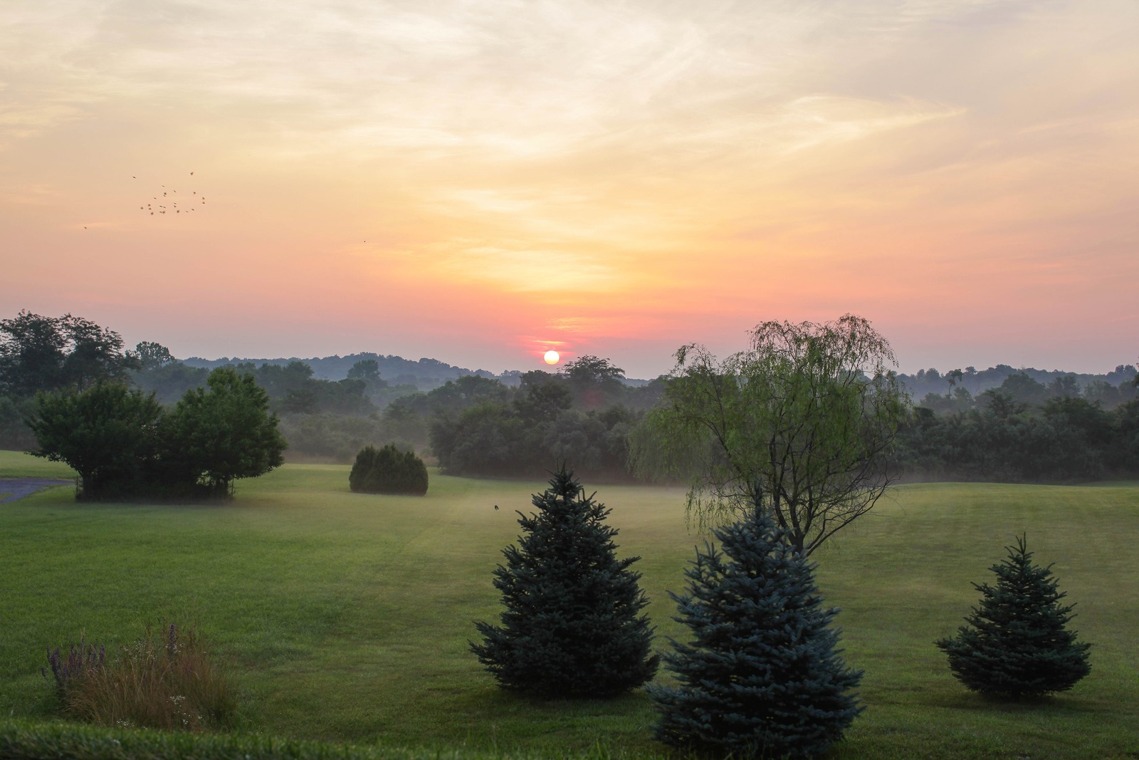 Morning Serenity