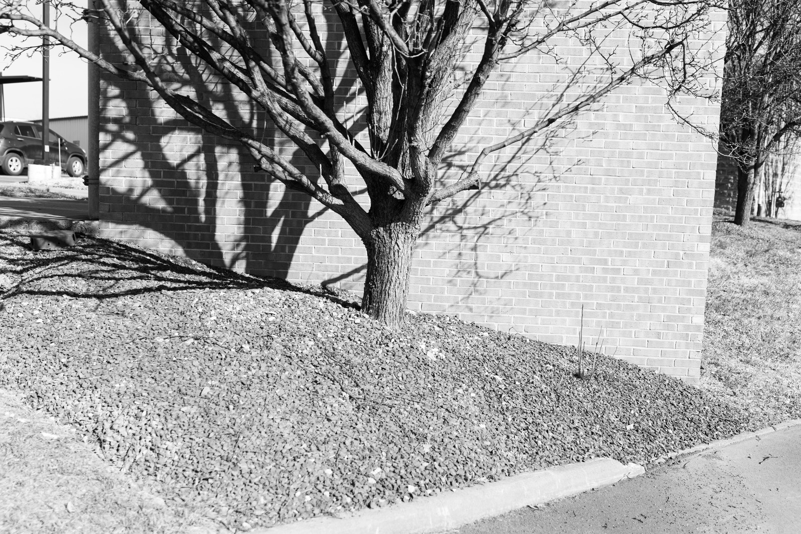 Shadow Play