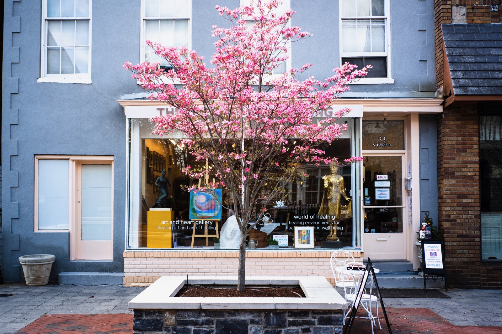 Serenity in Bloom