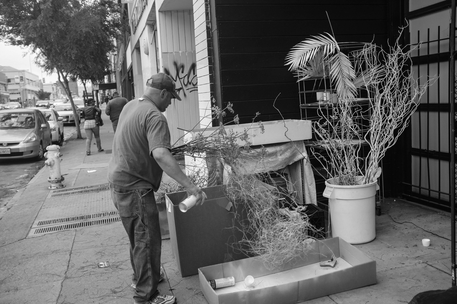 Urban Still Life