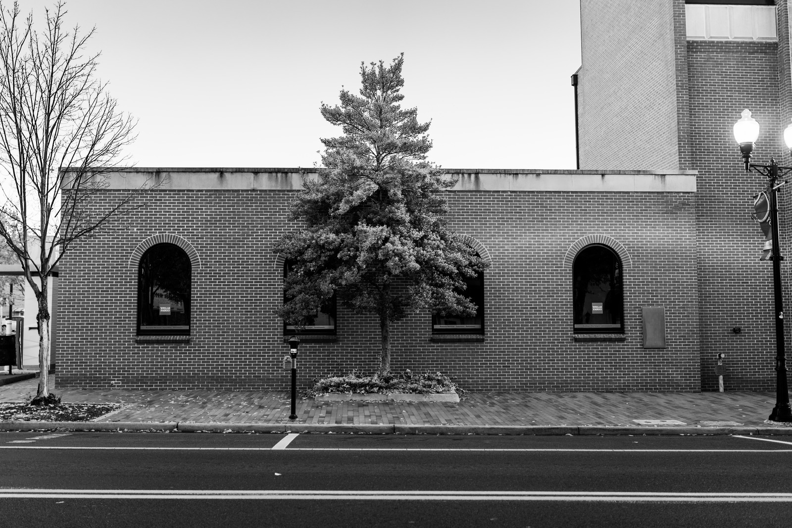 Urban Solitude
