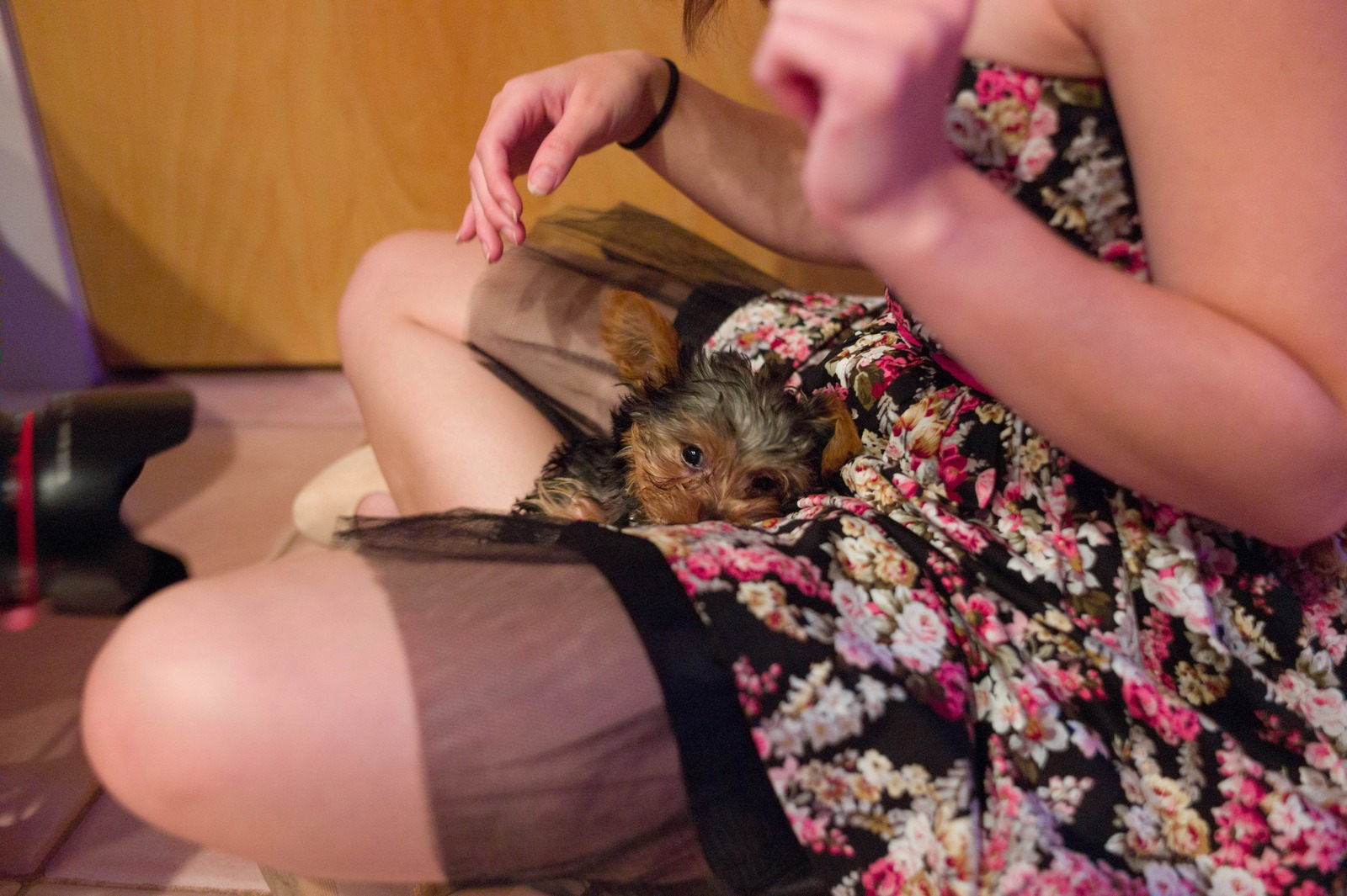 Cozy Companionship