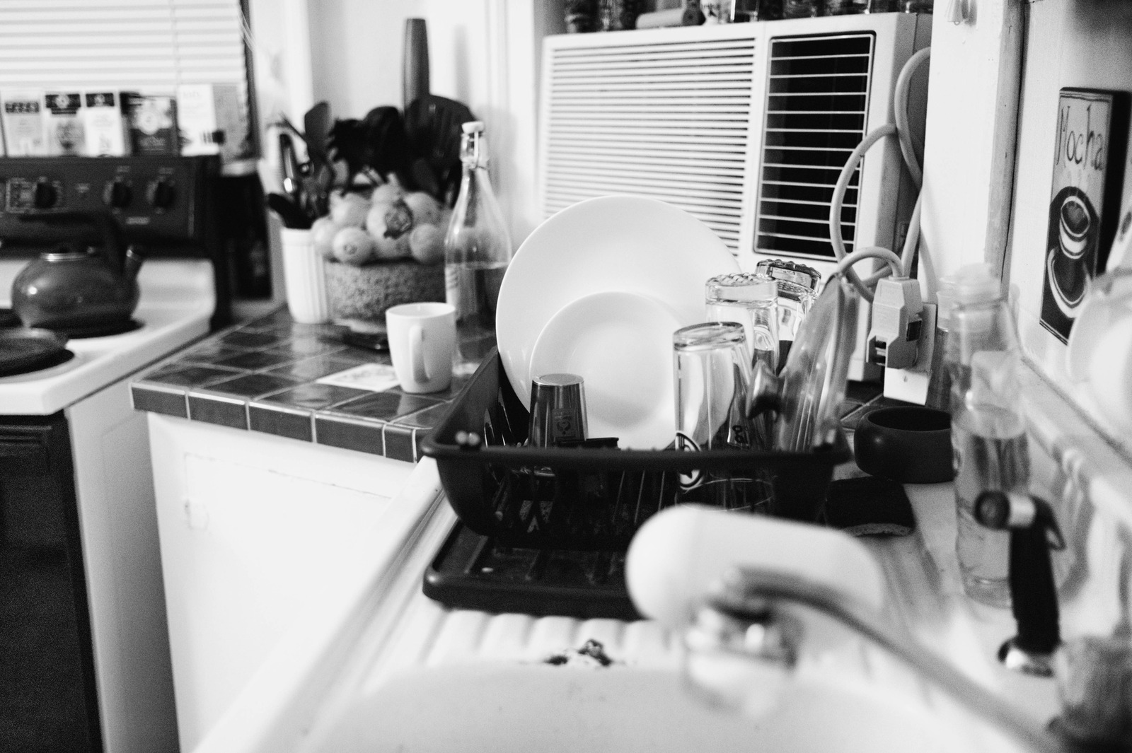 Domestic Stillness
