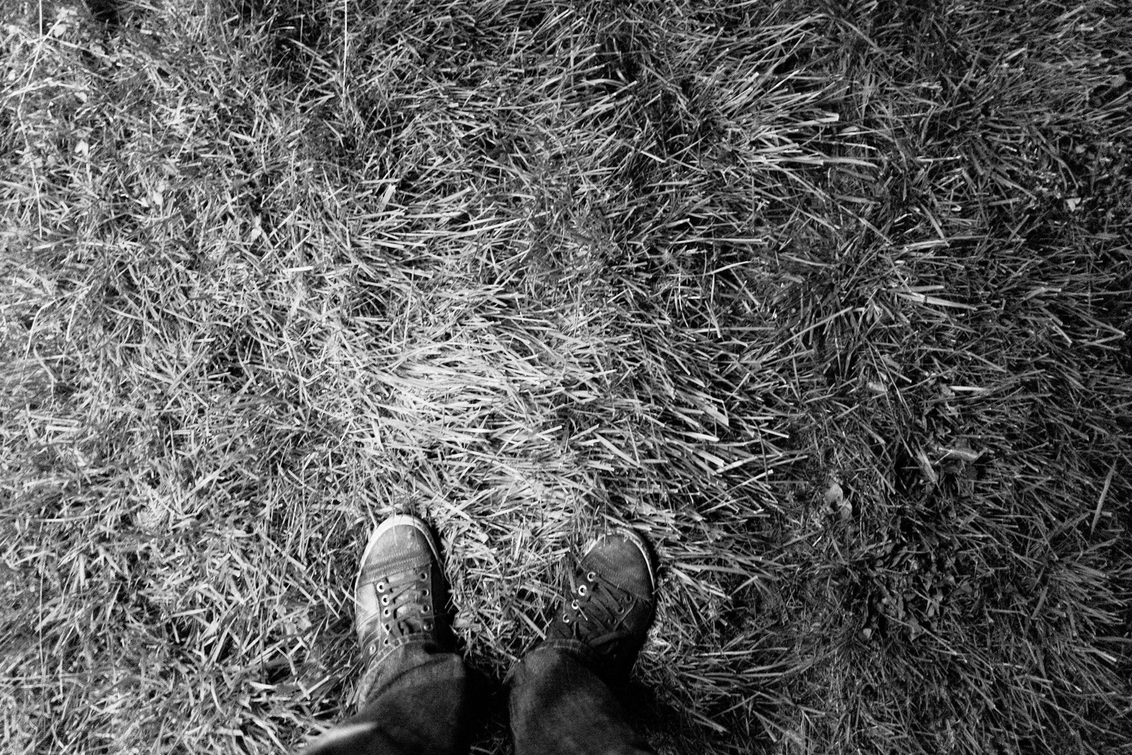 Grounded Reflection