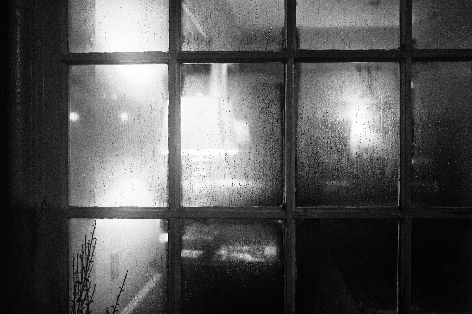 Veiled Memories