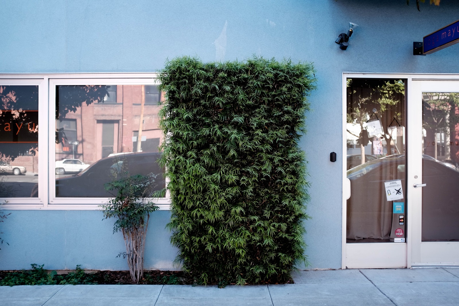 Urban Greenery