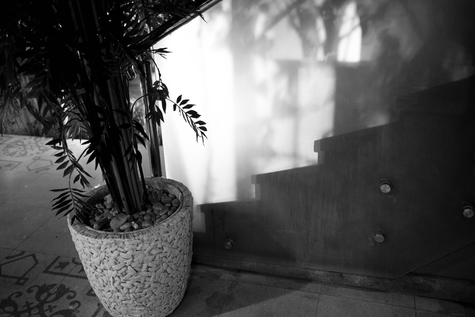 Shadows and Steps